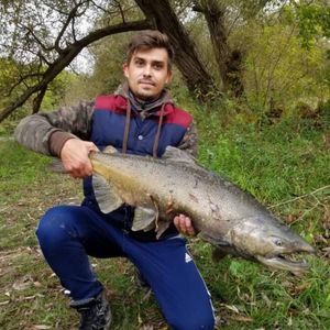 Meet your Posher, Mike